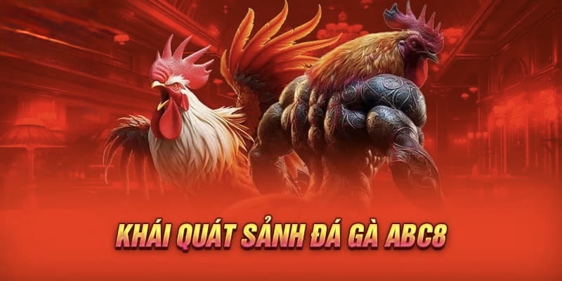 Những lưu ý khi chơi đá gà