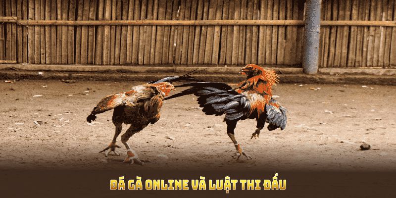 Khám phá luật thi đấu để làm chủ ván cược